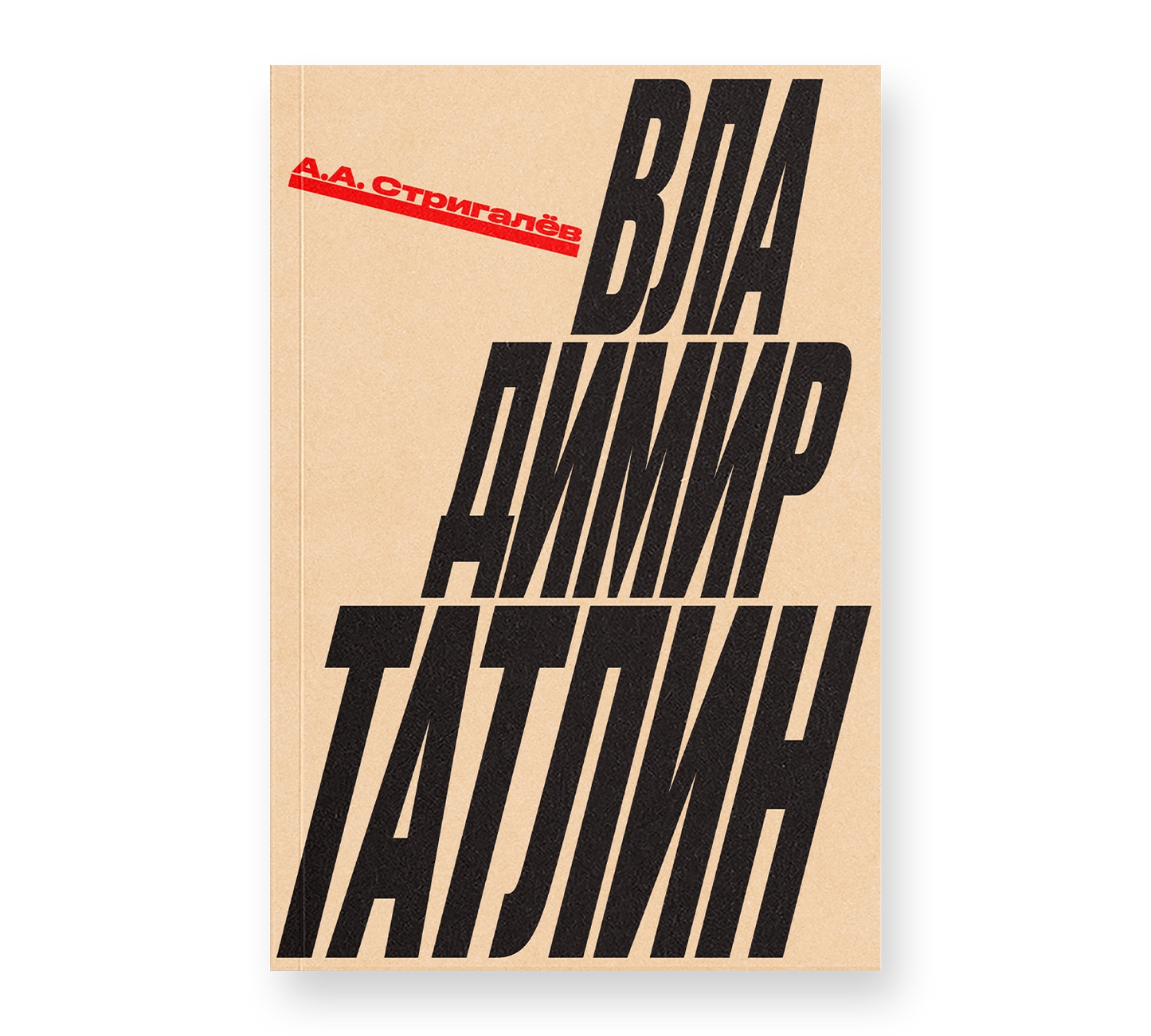Анатолий Стригалев "Владимир Татлин"