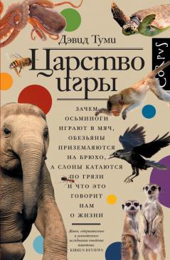 Дэвид Туми "Царство игры"